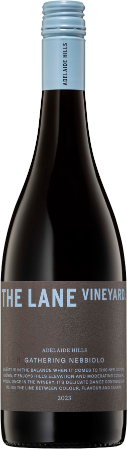 The Lane Vineyard Gathering Nebbiolo 2023